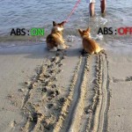 ABS explanation with just an image