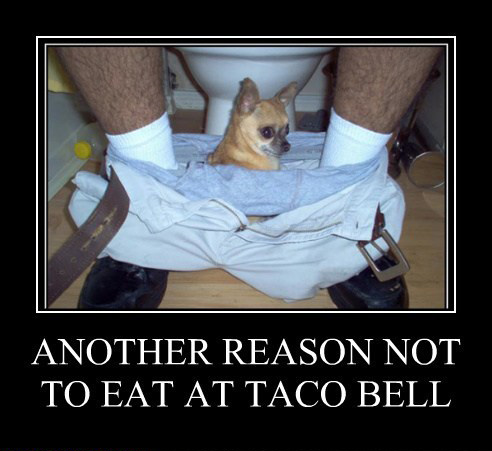 Another reason not to eat at taco bell