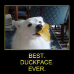 Best. Duckface. Ever.
