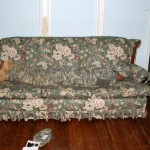 Camo Couch