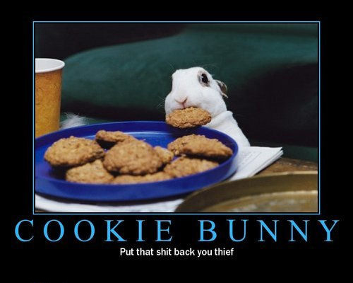 cookie bunny thief