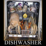 Dishwasher: You’re doing it right!