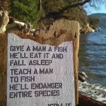 Give a man a fish…