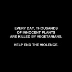 Help end the violence