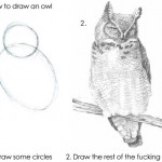 Tutorial: how-to draw an owl