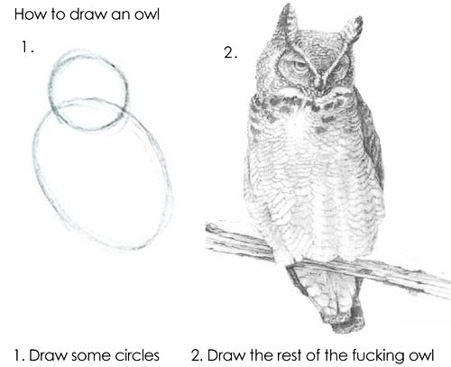 tutorial: how to draw an owl