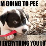 I’m going to pee…