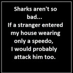 Sharks aren’t so bad