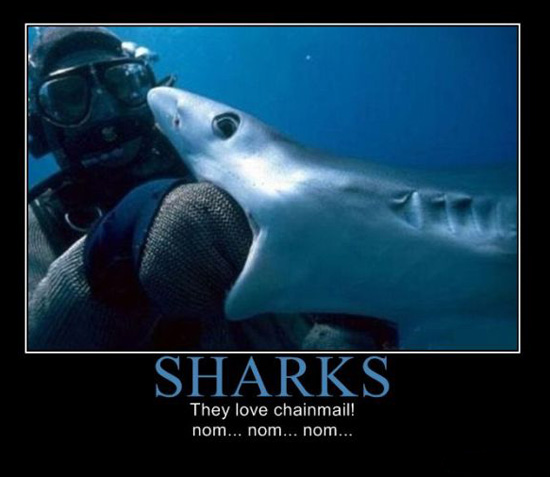 sharks love chainmail