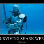 Surviving shark week: Like a Boss