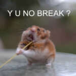 Y U NO break?!??