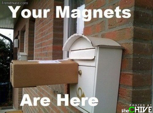 Honey! Your magnets are here!
