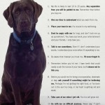 10 Canine Commandments