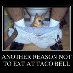 Another reason not to eat at taco bell