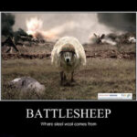 Battlesheep