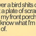 Birds taking a shit on my car…