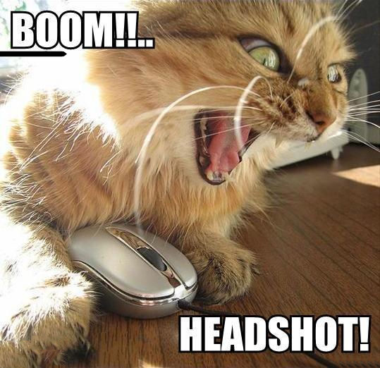 boom! HEADSHOT!
