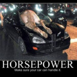 HorsePower