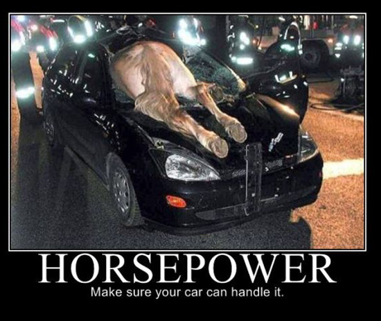 can you handle all the horsepower