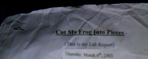 Cut my frog into pieces...