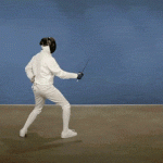 Fencing: you're doing it right!