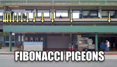 fibonacci pigeons