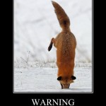 Warning: Firefox is stuck!