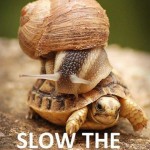 Slow the @$%^# down!