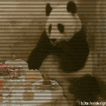 The sneezing panda and real story