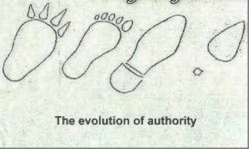 the evolution of authority